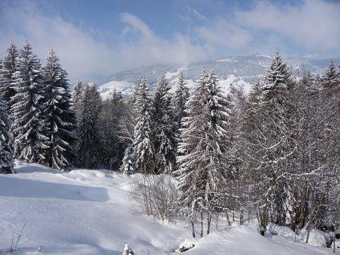 foto 12 Huurhuis van particulieren Megve appartement Rhne-Alpes Haute-Savoie Uitzicht vanaf het balkon