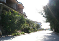 foto 3 Huurhuis van particulieren Gargano appartement Pouilles Foggia (provincie) Het aanzicht van de woning