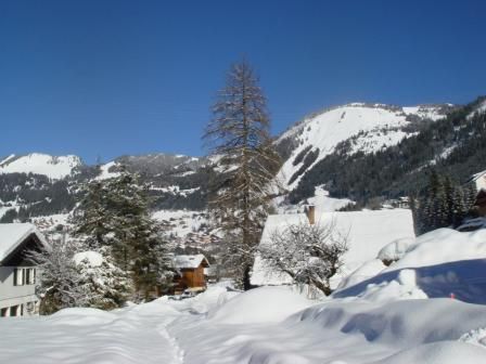 foto 17 Huurhuis van particulieren Chtel chalet Rhne-Alpes Haute-Savoie Uitzicht vanaf het terras