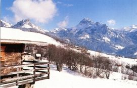 foto 8 Huurhuis van particulieren Bernex maison Rhne-Alpes Haute-Savoie Zicht op de omgeving