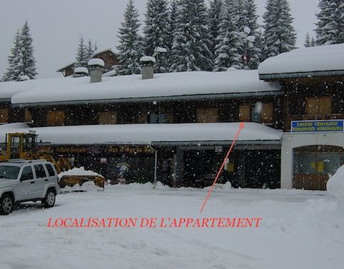 foto 12 Huurhuis van particulieren Praz de Lys Sommand appartement Rhne-Alpes Haute-Savoie Het aanzicht van de woning