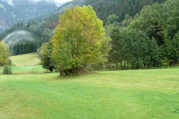 foto 18 Huurhuis van particulieren Chtel appartement Rhne-Alpes Haute-Savoie Uitzicht vanaf de woning