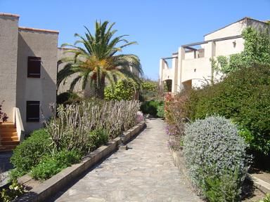 foto 1 Huurhuis van particulieren Calvi appartement Corsica Haute-Corse