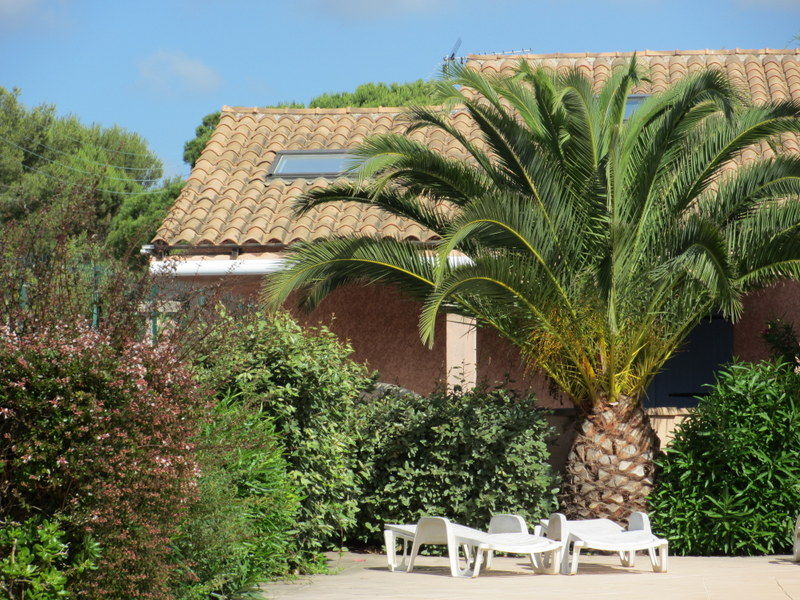 foto 1 Huurhuis van particulieren Sainte Maxime maison Provence-Alpes-Cte d'Azur Var Het aanzicht van de woning