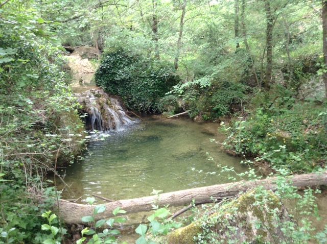 foto 9 Huurhuis van particulieren La Tour d'Aigues gite Provence-Alpes-Cte d'Azur Vaucluse Het aanzicht van de woning