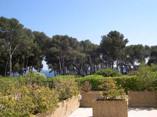 foto 3 Huurhuis van particulieren Bandol appartement Provence-Alpes-Cte d'Azur Var Uitzicht vanaf het terras