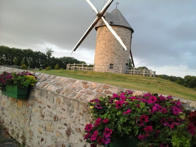 foto 16 Huurhuis van particulieren Gouville sur Mer gite Basse-Normandie Manche Overig uitzicht