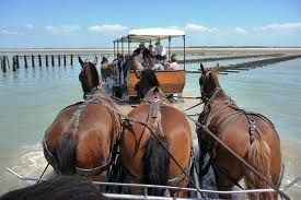 foto 19 Huurhuis van particulieren Gouville sur Mer gite Basse-Normandie Manche Strand