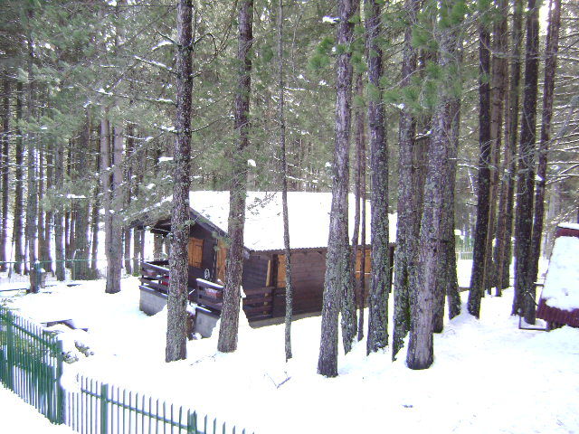 foto 0 Huurhuis van particulieren Camigliatello silano chalet Calabri Cosenza (provincie van)