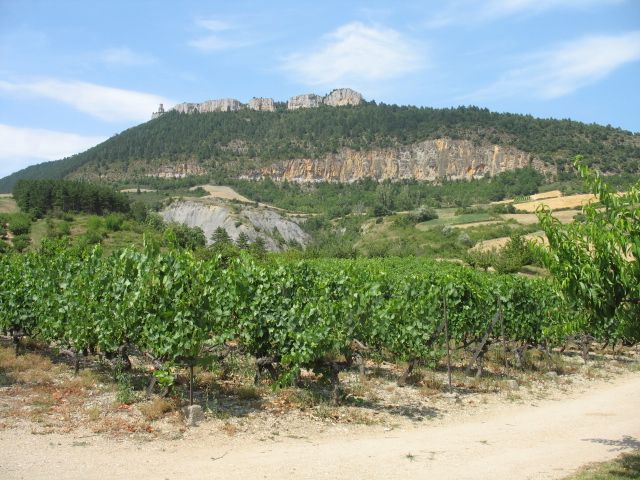 foto 6 Huurhuis van particulieren Millau studio Midi-Pyrnes Aveyron Uitzicht vanaf het terras