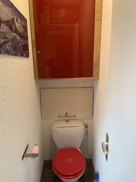 foto 16 Huurhuis van particulieren La Plagne appartement Rhne-Alpes Savoie Apart toilet