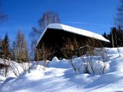 Vakantiewoningen chalets Europa: chalet nr. 104727