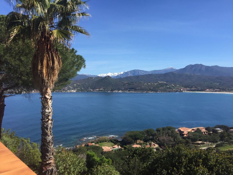 foto 5 Huurhuis van particulieren Ajaccio villa Corsica Corse du Sud Uitzicht vanaf het terras