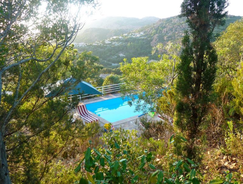 foto 6 Huurhuis van particulieren Saint Raphael villa Provence-Alpes-Cte d'Azur Var Zwembad