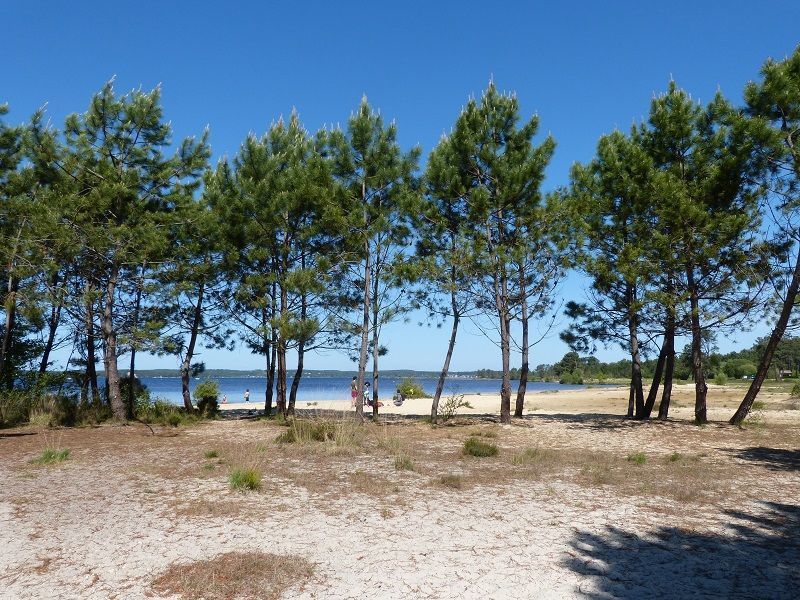 foto 15 Huurhuis van particulieren Lacanau maison Aquitaine Gironde Strand