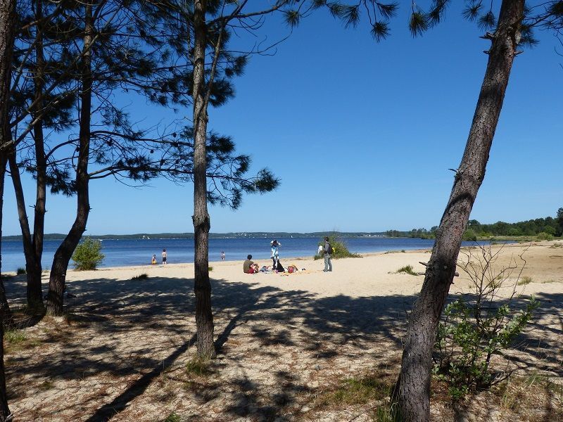 foto 18 Huurhuis van particulieren Lacanau maison Aquitaine Gironde Strand