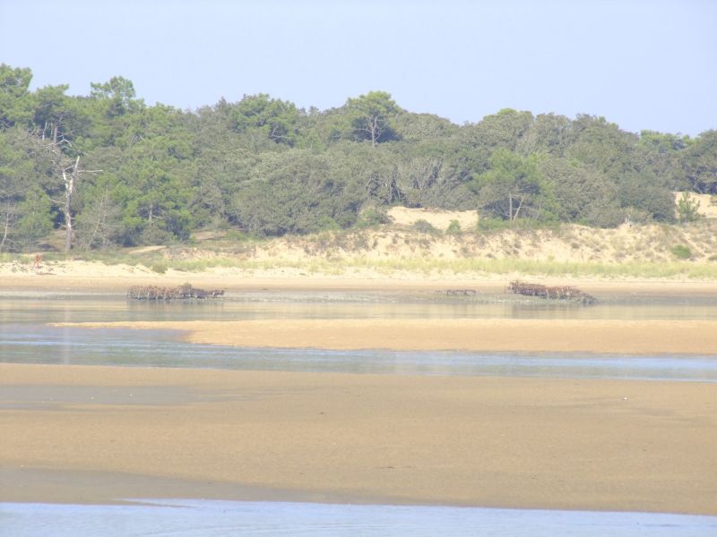 foto 8 Huurhuis van particulieren Jard sur mer gite Pays de la Loire Vende