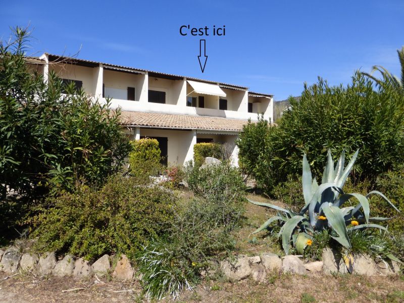 foto 14 Huurhuis van particulieren Sagone appartement Corsica Corse du Sud Tuin