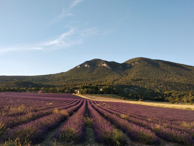 foto 12 Huurhuis van particulieren Apt villa Provence-Alpes-Cte d'Azur Vaucluse Zicht op de omgeving