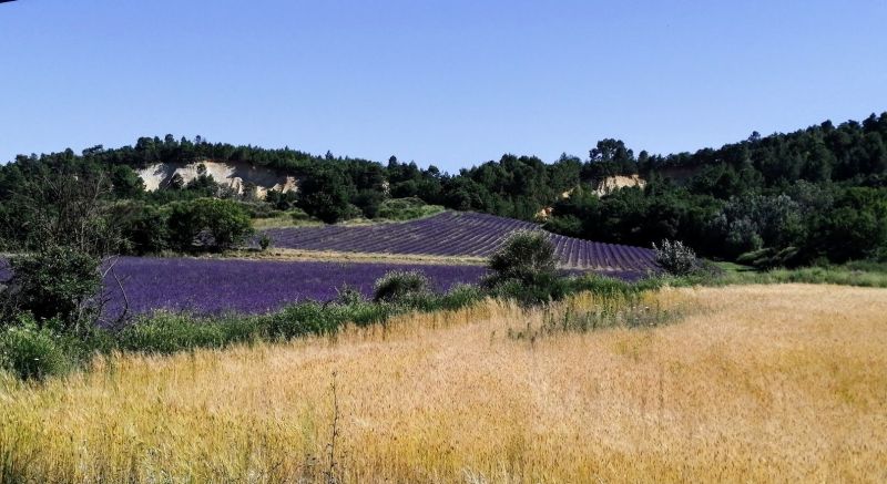 foto 29 Huurhuis van particulieren Apt villa Provence-Alpes-Cte d'Azur Vaucluse Overig uitzicht