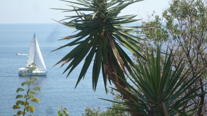 foto 16 Huurhuis van particulieren Solenzara appartement Corsica Corse du Sud Overig uitzicht