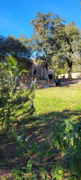 foto 20 Huurhuis van particulieren Rocbaron gite Provence-Alpes-Cte d'Azur Var Tuin