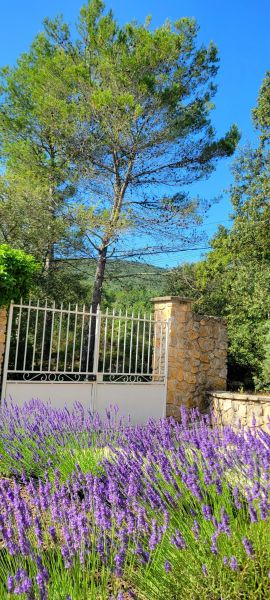 foto 23 Huurhuis van particulieren Rocbaron gite Provence-Alpes-Cte d'Azur Var