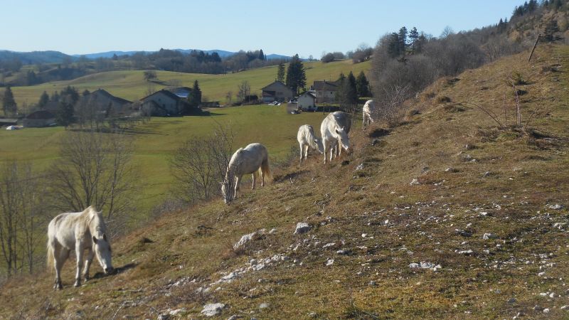 foto 28 Huurhuis van particulieren Foncine le Bas maison Franche-Comt Jura Overig uitzicht