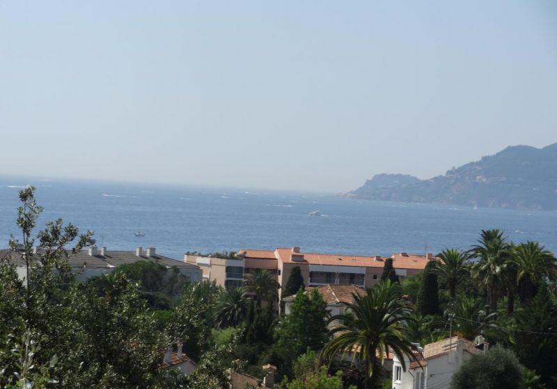 foto 0 Huurhuis van particulieren Cannes appartement Provence-Alpes-Cte d'Azur Alpes-Maritimes Uitzicht vanaf het terras