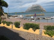 Vakantiewoningen aan zee Capo Coda Cavallo: appartement nr. 89434