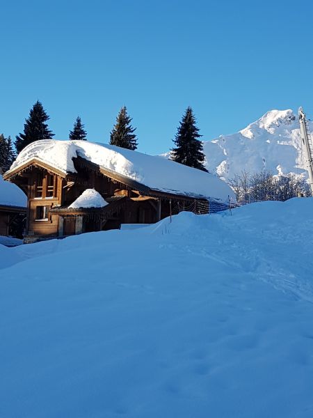 foto 18 Huurhuis van particulieren Praz de Lys Sommand chalet Rhne-Alpes Haute-Savoie Het aanzicht van de woning