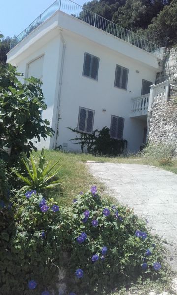 foto 4 Huurhuis van particulieren Vieste villa Pouilles Foggia (provincie)