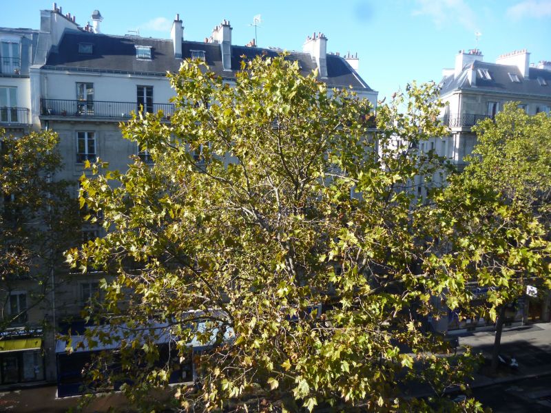 foto 7 Huurhuis van particulieren PARIJS appartement Ile-de-France (eiland) Parijs Uitzicht vanaf de woning