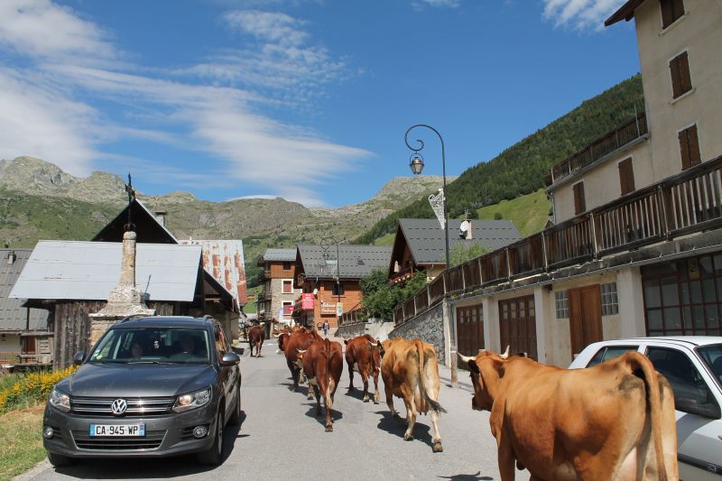 foto 14 Huurhuis van particulieren Saint Sorlin d'Arves appartement Rhne-Alpes Savoie Overig uitzicht