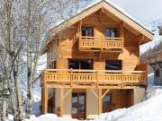 Vakantiewoningen woningen French Ski Resorts: chalet nr. 119953