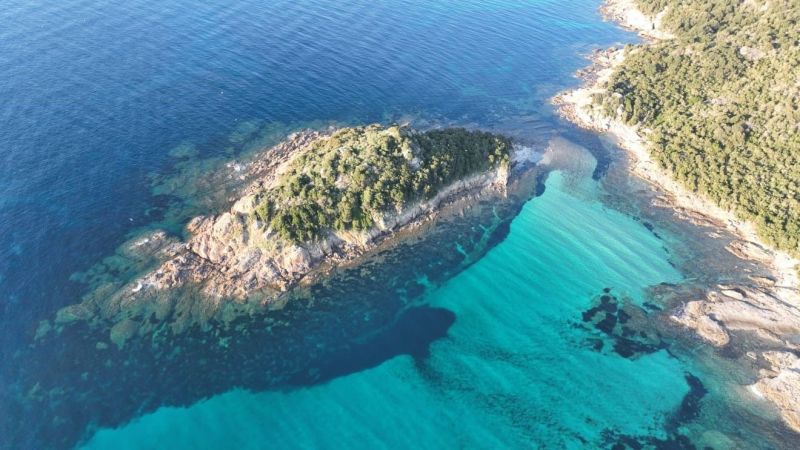 foto 6 Huurhuis van particulieren Palombaggia insolite Corsica Corse du Sud