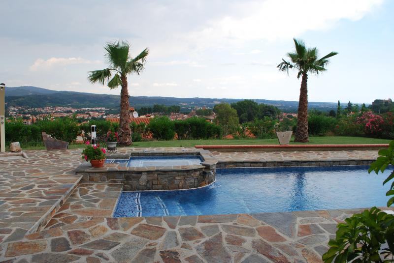 foto 5 Huurhuis van particulieren Ceret appartement Languedoc-Roussillon Pyrnes-Orientales Zwembad