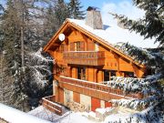 Vakantiewoningen Franse Alpen voor 13 personen: chalet nr. 79673