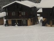 Vakantiewoningen wintersportplaats: appartement nr. 91018