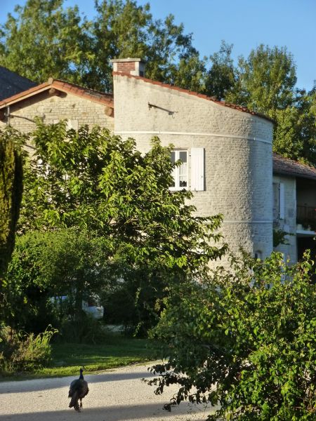 foto 1 Huurhuis van particulieren La Rochelle gite Poitou-Charentes Charente-Maritime Het aanzicht van de woning