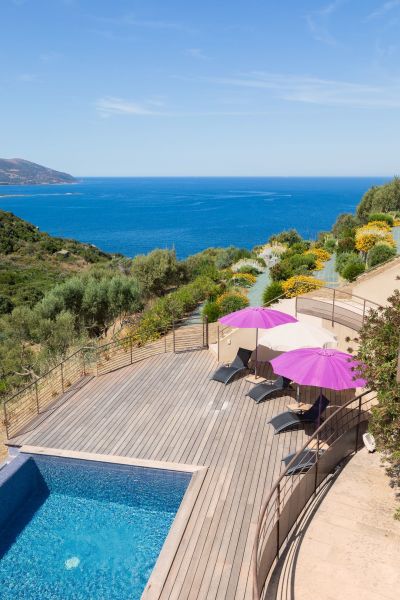 foto 25 Huurhuis van particulieren Ajaccio villa Corsica Corse du Sud Zwembad