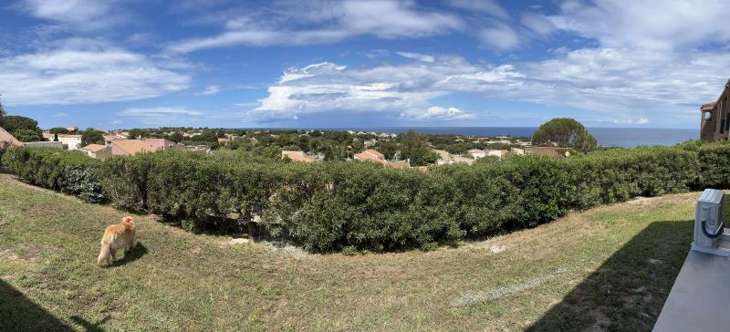 foto 13 Huurhuis van particulieren Lumio studio Corsica Haute-Corse Uitzicht vanaf het terras