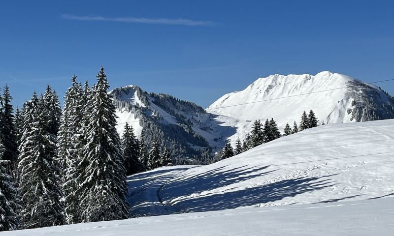 foto 2 Huurhuis van particulieren La Clusaz studio Rhne-Alpes Haute-Savoie