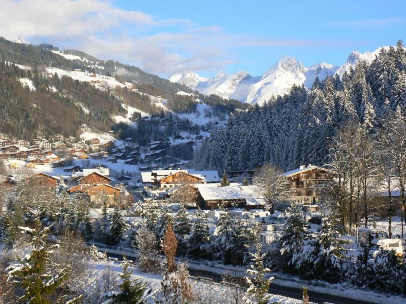 foto 10 Huurhuis van particulieren Le Grand Bornand appartement Rhne-Alpes Haute-Savoie Uitzicht vanaf de woning