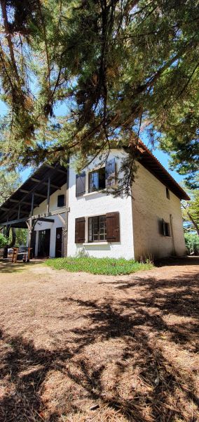 foto 1 Huurhuis van particulieren Cap Ferret villa Aquitaine Gironde Het aanzicht van de woning
