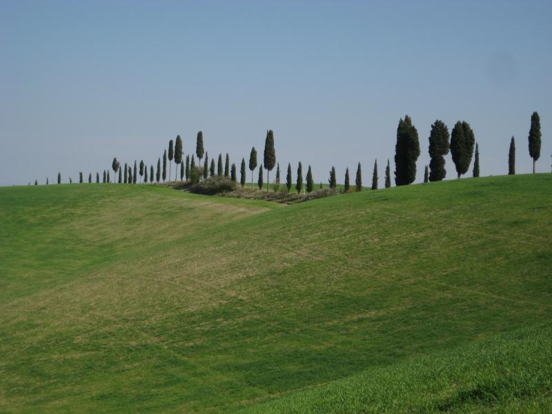 foto 5 Huurhuis van particulieren San Gimignano appartement Toscane Siena (provincie) Overig uitzicht