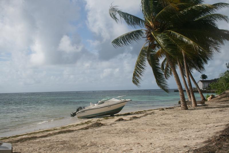 foto 8 Huurhuis van particulieren Sainte Anne (Guadeloupe) appartement Grande Terre  Strand