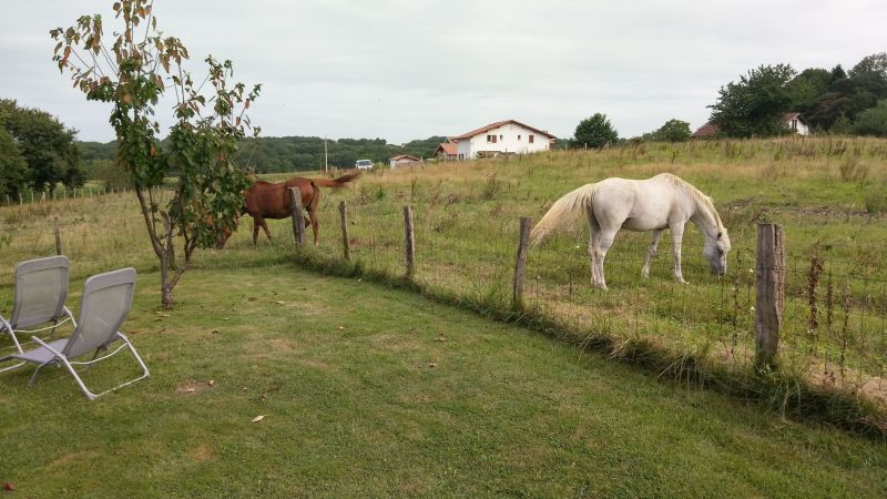 foto 19 Huurhuis van particulieren Ahetze appartement Aquitaine Pyrnes-Atlantiques Het aanzicht van de woning