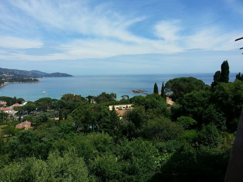 foto 0 Huurhuis van particulieren Le Lavandou appartement Provence-Alpes-Cte d'Azur Var Uitzicht vanaf het terras