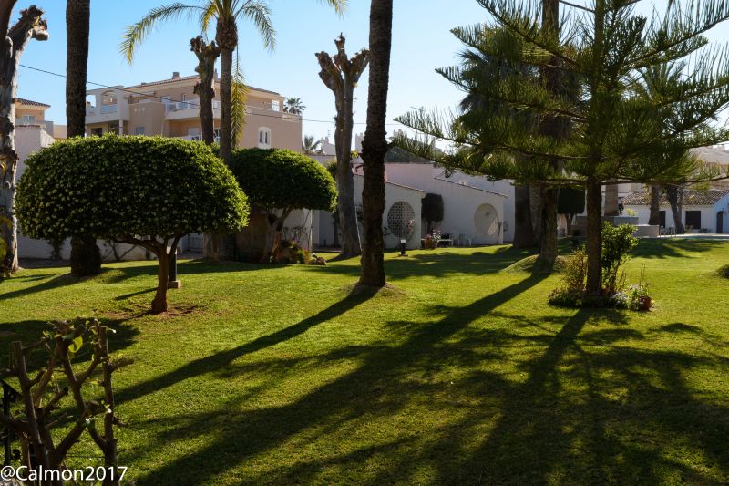 foto 16 Huurhuis van particulieren Dnia bungalow Valencia (regio) Alicante (provincia de) Tuin